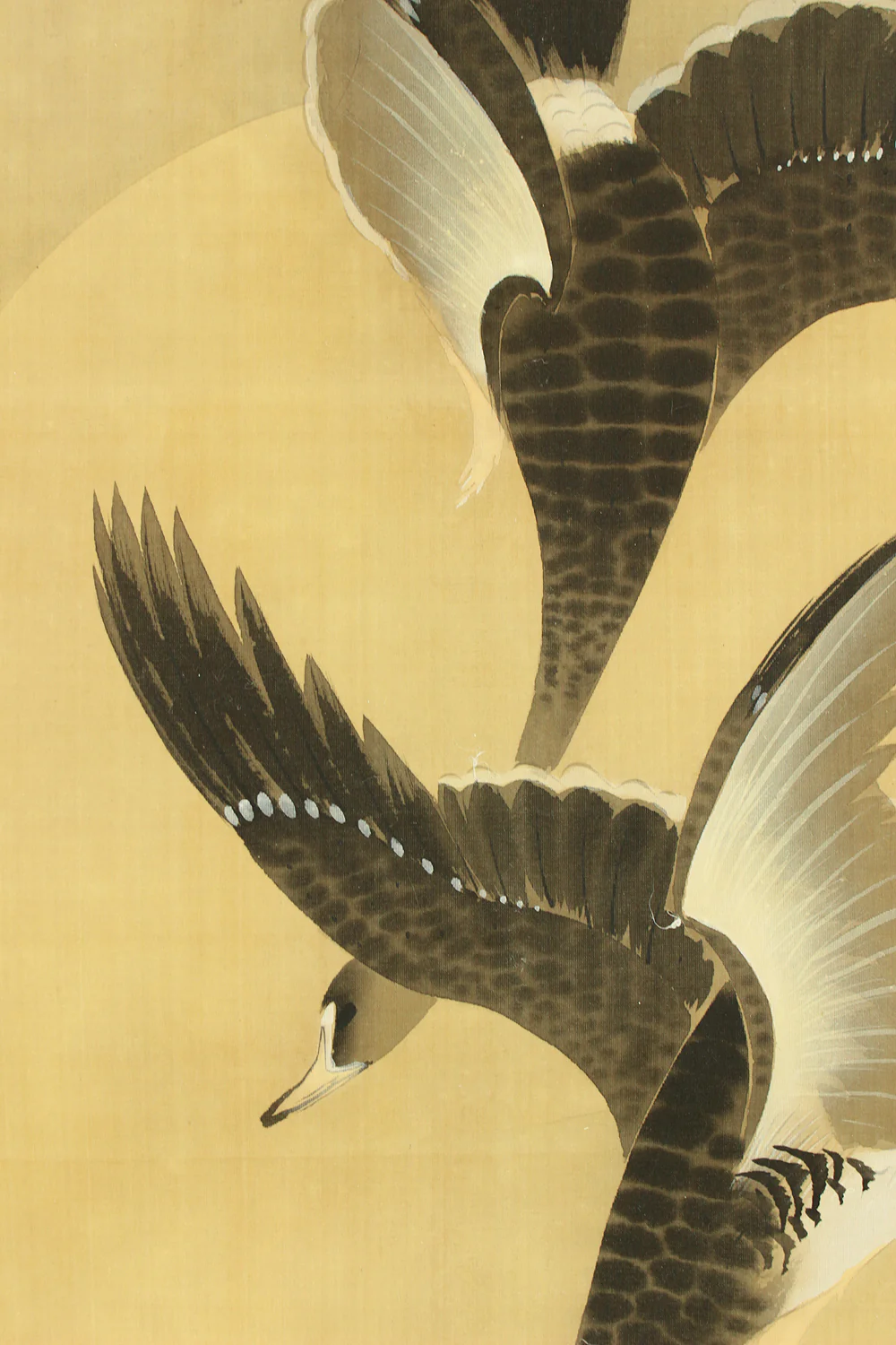 弓家恒畝 Yuge Koho (b1901) Japanese art kakejiku kakemono wall hanging scroll / Moon, Wild Geese, and Reeds with Box RD200 - Image 8