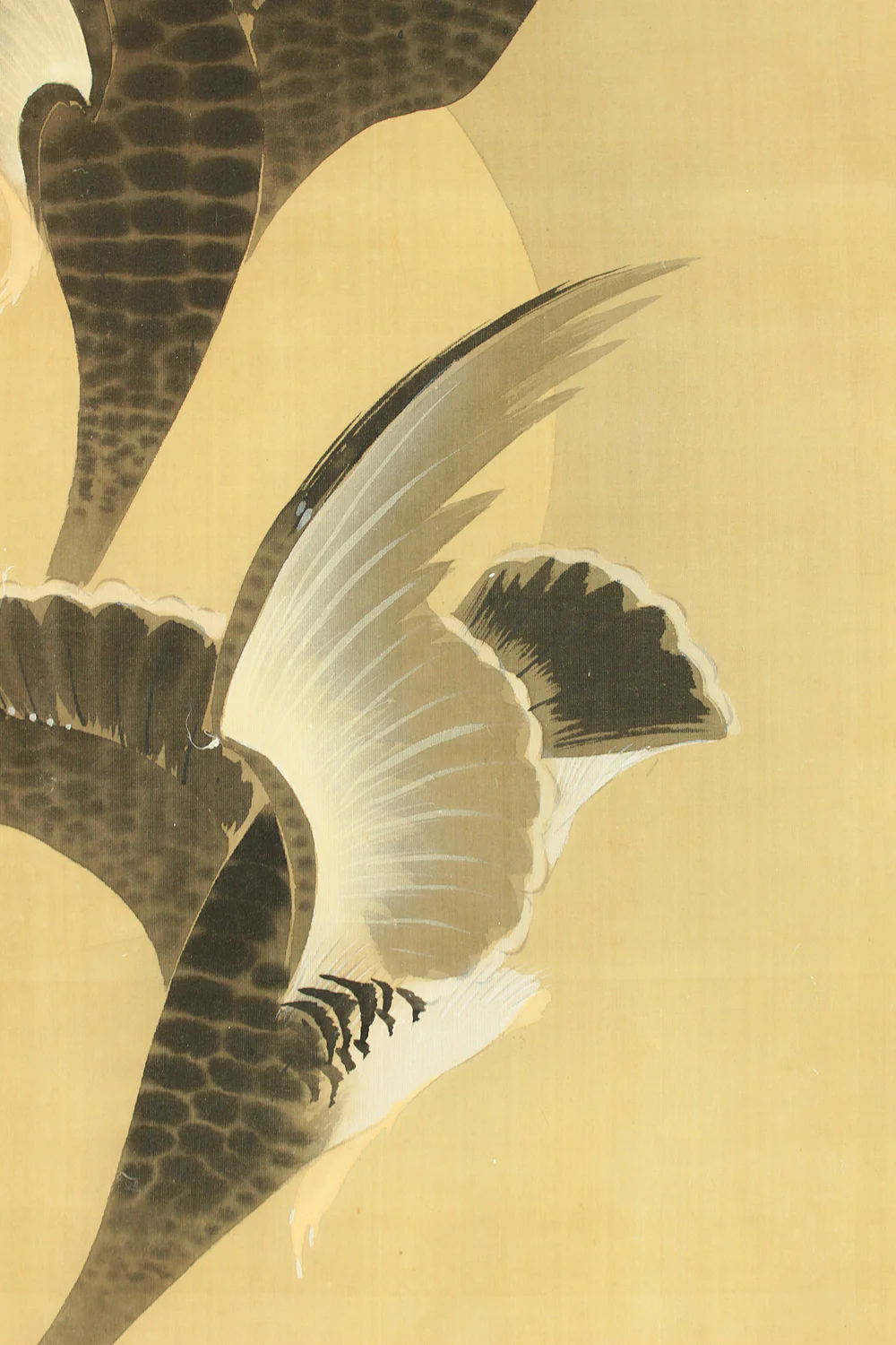 弓家恒畝 Yuge Koho (b1901) Japanese art kakejiku kakemono wall hanging scroll / Moon, Wild Geese, and Reeds with Box RD200 - Image 9