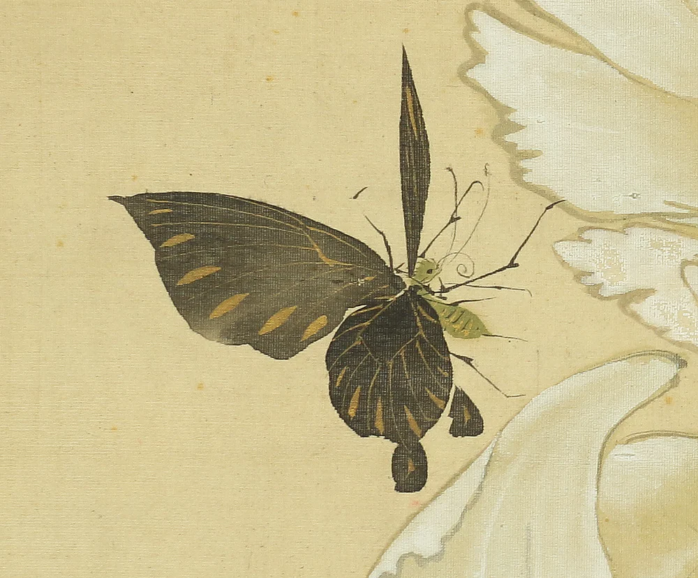 湯川松堂 Yukawa Shodo (1868-1955) Japanese art kakejiku kakemono wall hanging scroll / Peony and Butterflys RB947 - Image 7