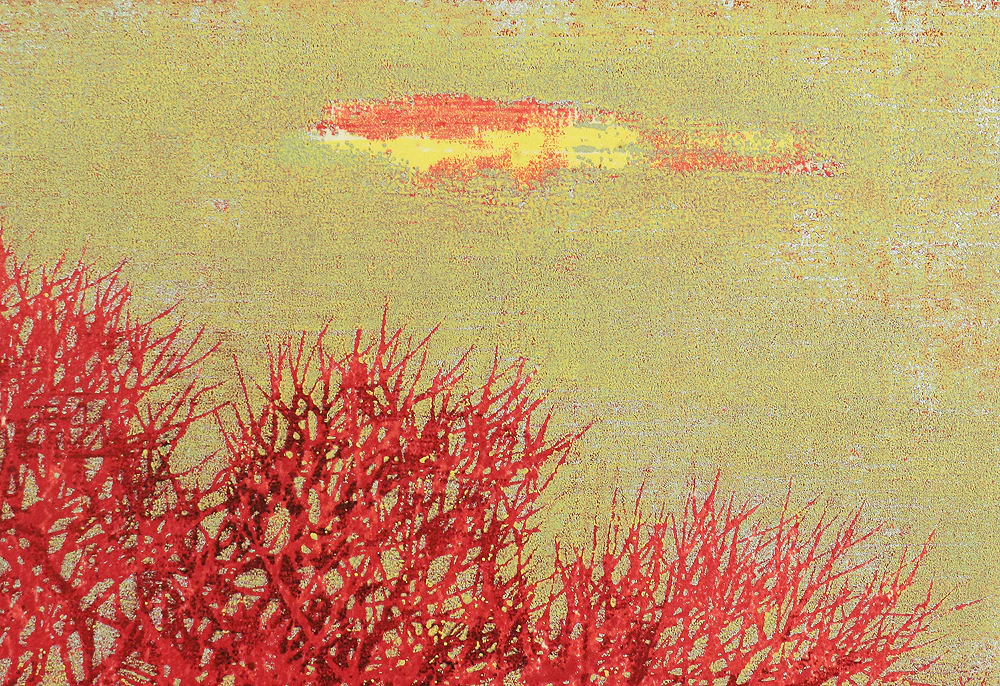 星襄一 Hoshi Joichi (1913-1979) Original woodblock print 'Akai Ki' 「赤い木」 (Red Tree) - 46/200 - 1973 NW488 - Image 10