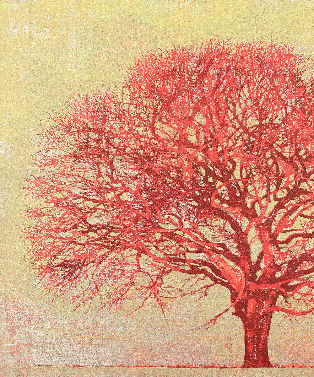 星襄一 Hoshi Joichi (1913-1979) Original woodblock print 'Akai Ki' 「赤い木」 (Red Tree) - 46/200 - 1973 NW488 - Image 4