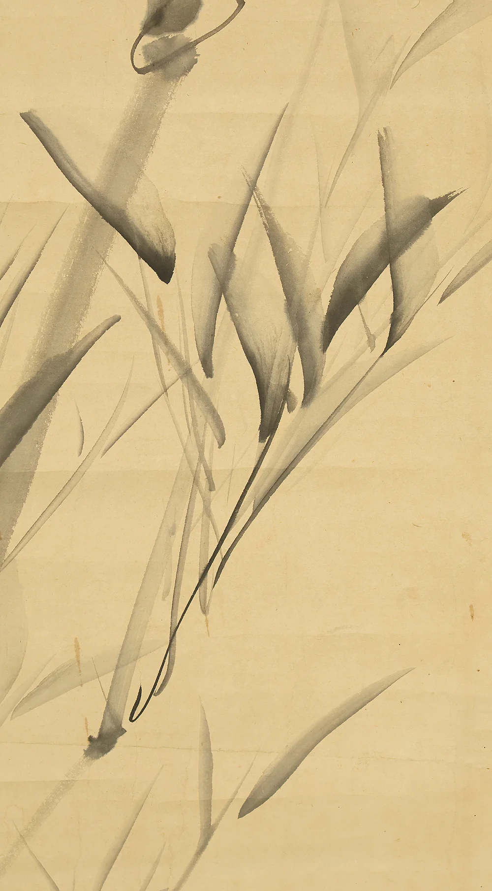 池大雅 Ike no Taiga (1723-1776) Japanese antique art kakejiku kakemono wall hanging scroll / Young Bamboo RE860 - Image 10