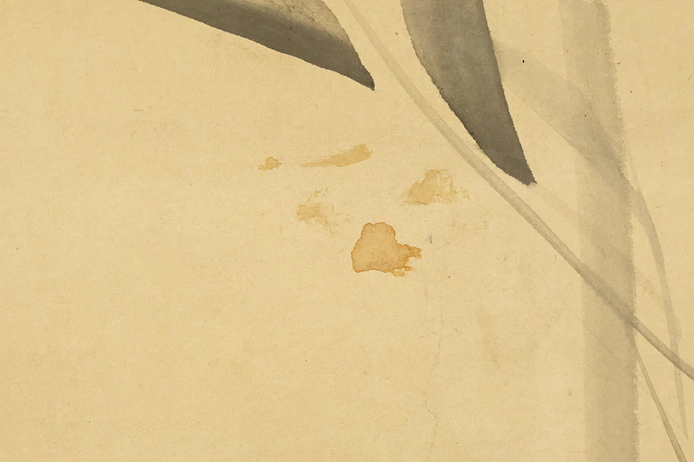池大雅 Ike no Taiga (1723-1776) Japanese antique art kakejiku kakemono wall hanging scroll / Young Bamboo RE860 - Image 16