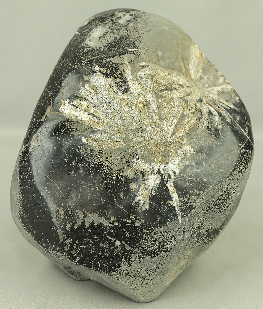 菊花石 Kikkaseki White Chrysanthemum Stone 6.5kg / Japanese Viewing Stone Suiseki VA431 - Image 10