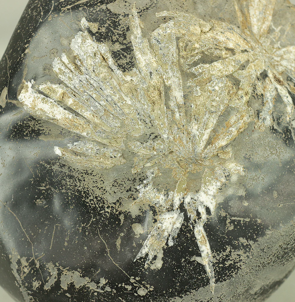 菊花石 Kikkaseki White Chrysanthemum Stone 6.5kg / Japanese Viewing Stone Suiseki VA431 - Image 12