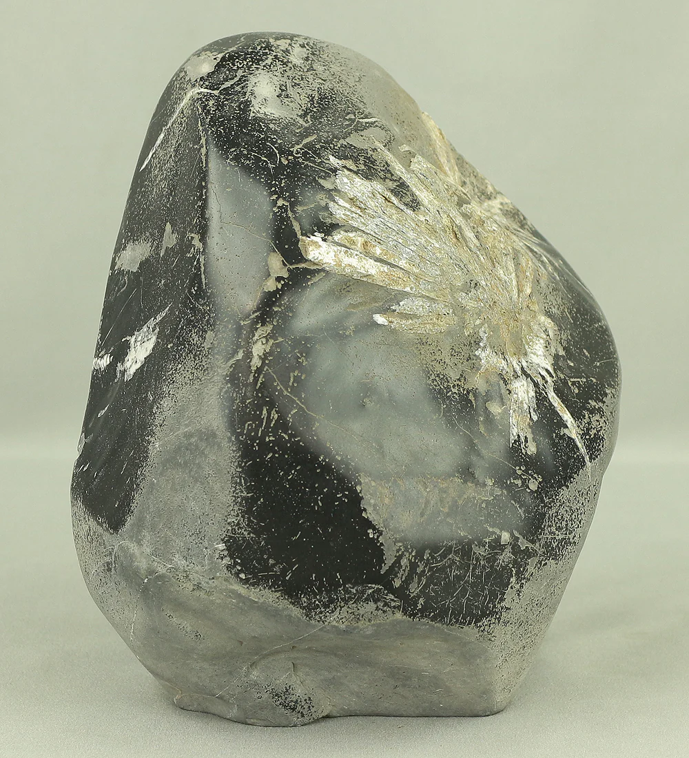 菊花石 Kikkaseki White Chrysanthemum Stone 6.5kg / Japanese Viewing Stone Suiseki VA431 - Image 3