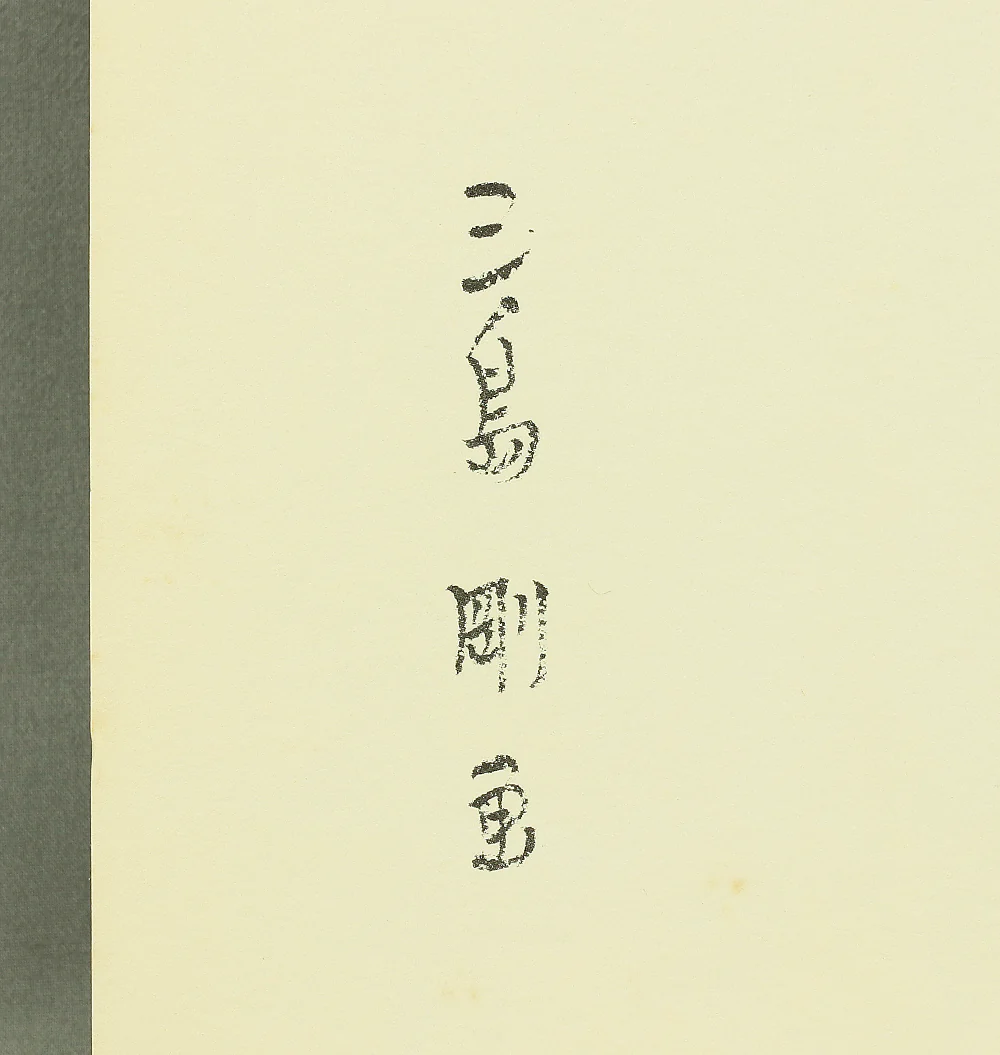 三島剛 Mishima Gō (1924-1988) Japanese art Photolithography From "Mishima Gō gashū Wakamono" 三島剛画集 若者 (Mishima Go Book of Pictures of Young Men) NW469 - Image 15