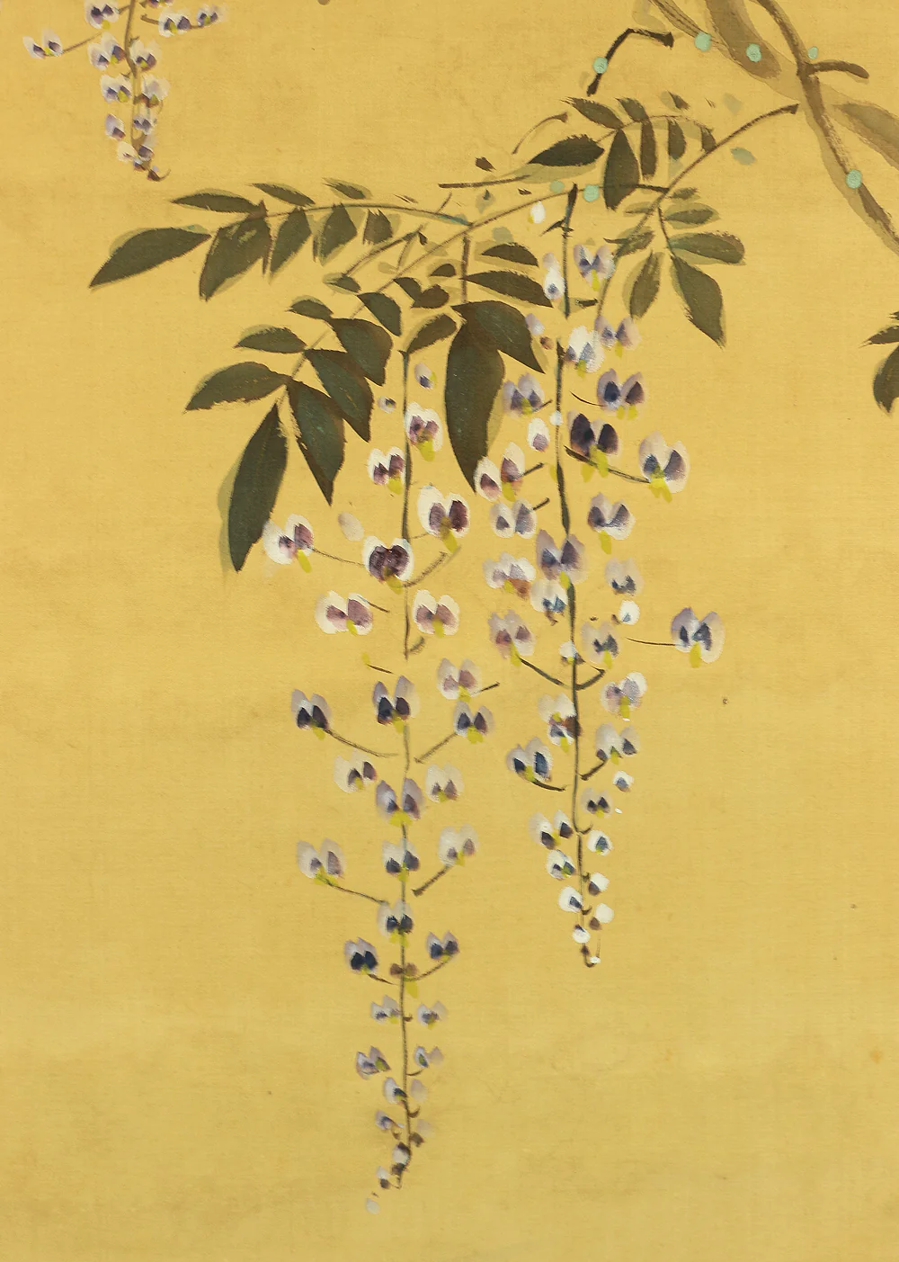 森寛斎 Mori Kansai (1814-1894) Japanese art kakejiku kakemono wall hanging scroll / Wisteria Flowers and Two Carp with Appraised Box RB946 - Image 6