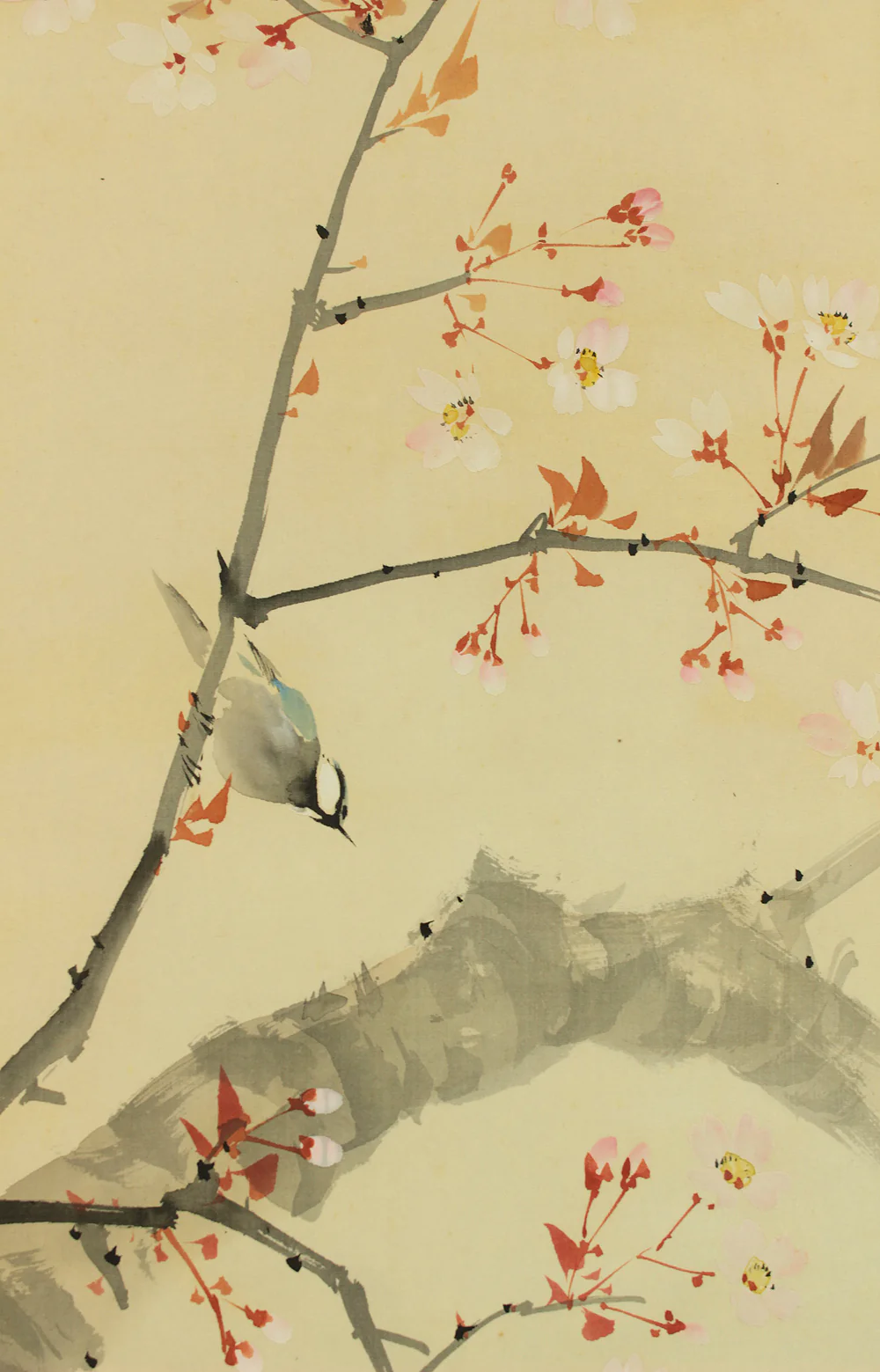 松涛 Shoto Japanese art kakejiku kakemono wall hanging scroll / Cherry Blossoms and Little Bird RD479
