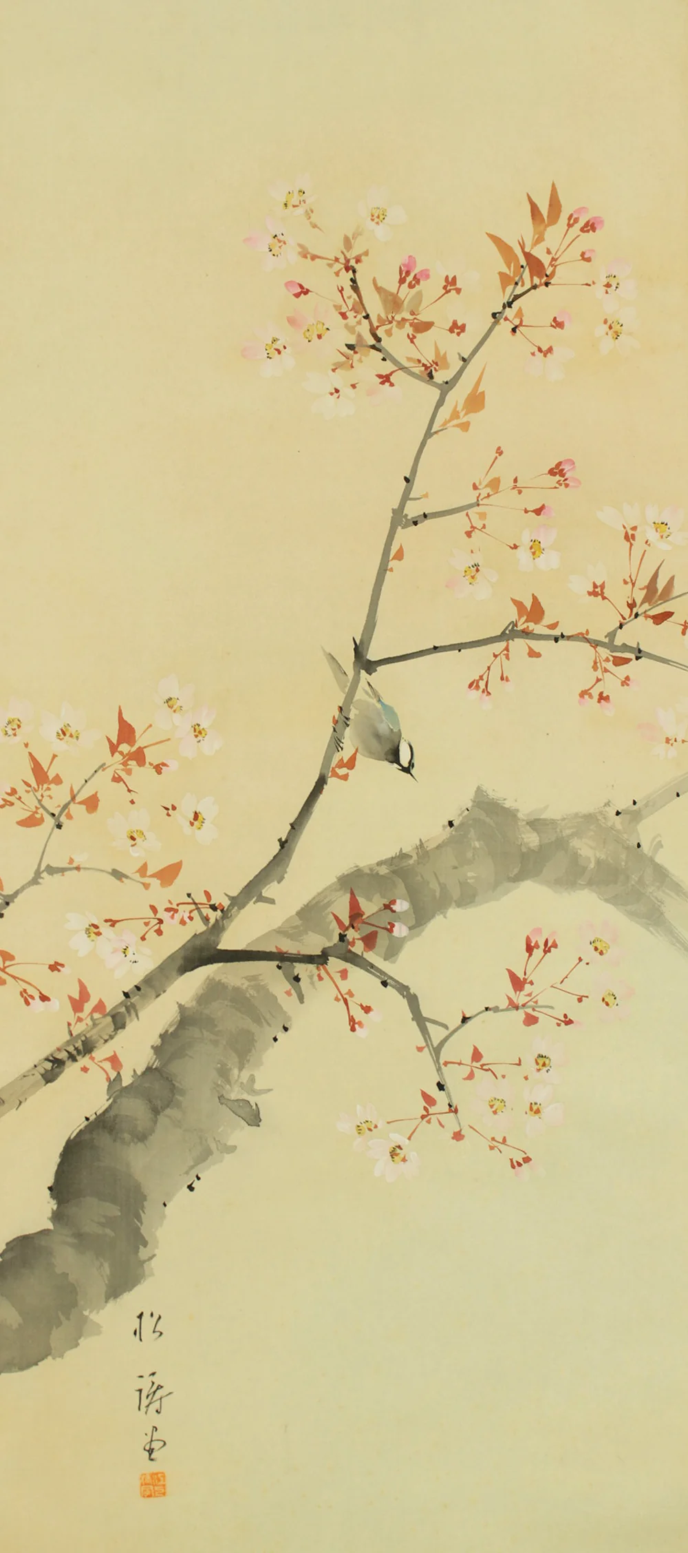 松涛 Shoto Japanese art kakejiku kakemono wall hanging scroll / Cherry Blossoms and Little Bird RD479 - Image 5