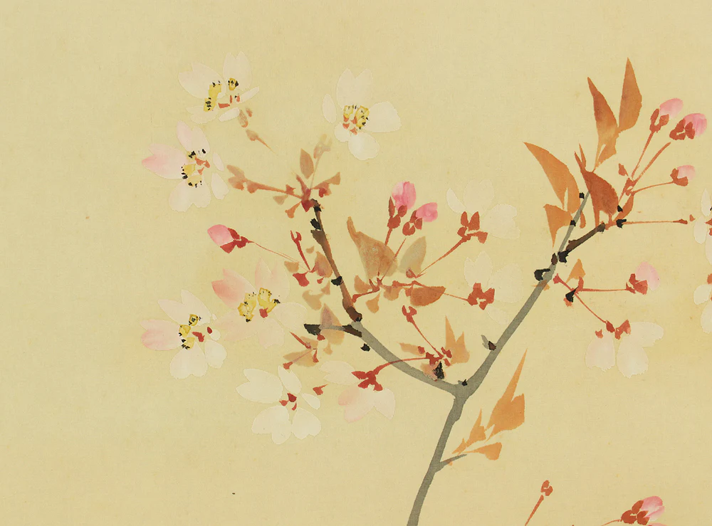 松涛 Shoto Japanese art kakejiku kakemono wall hanging scroll / Cherry Blossoms and Little Bird RD479 - Image 7