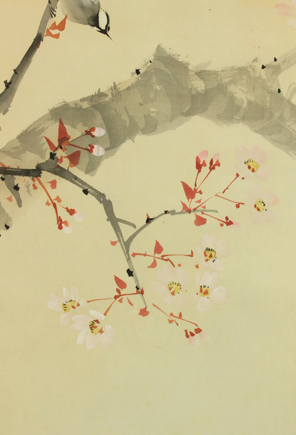 松涛 Shoto Japanese art kakejiku kakemono wall hanging scroll / Cherry Blossoms and Little Bird RD479 - Image 9