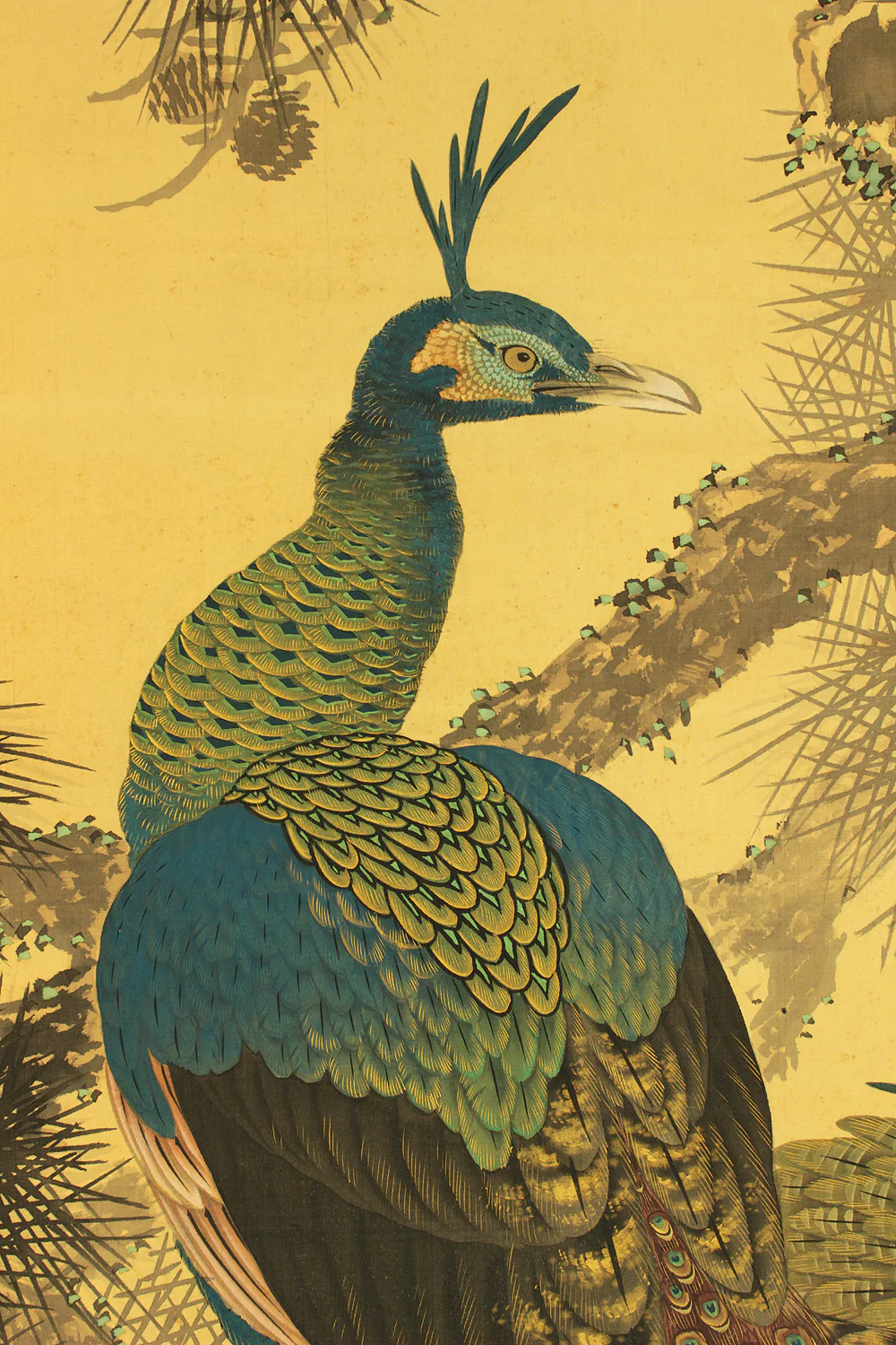 楳齋 Baisai Japanese art kakejiku kakemono wall hanging scroll / Peafowl and Pine Tree with Original Box (Tomobako) RD143 - Image 7