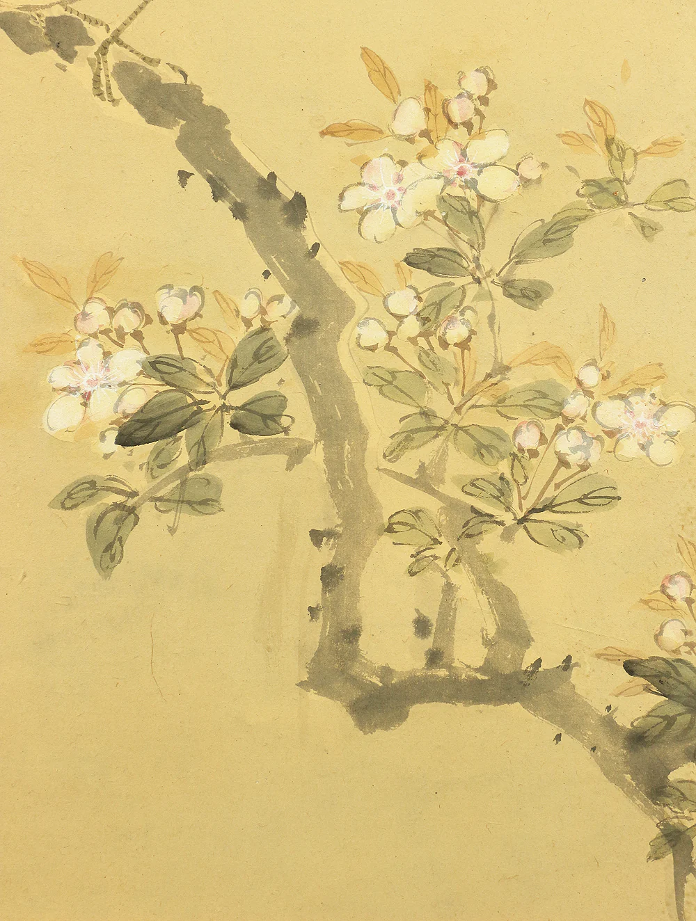 竹菊 Chikugiku Japanese Byobu Room divider 6 panels Folding screens / Kacho Flower & Bird - Birds, Ume plum, Sakura cherry, Lotus, Egret Heron, Magnolia, Chrysanthemum, Moon, Crows & Dead Tree V710 - Image 15