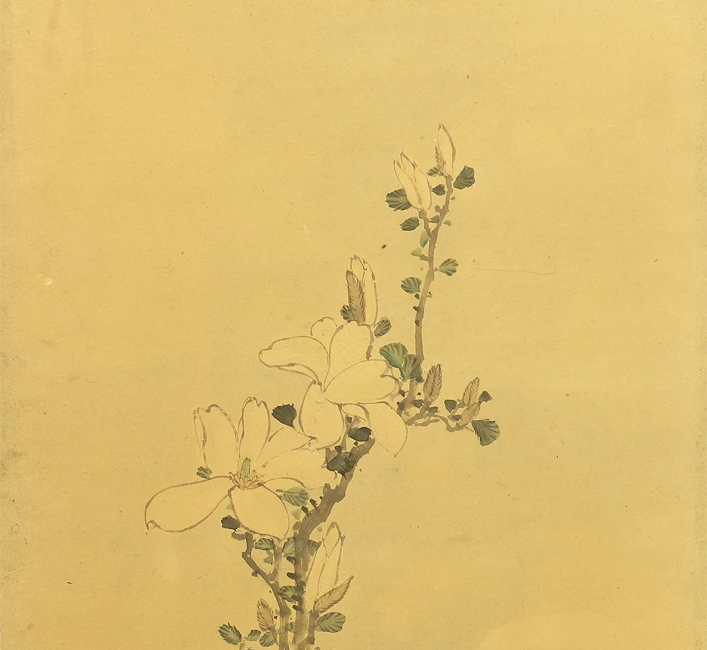 竹菊 Chikugiku Japanese Byobu Room divider 6 panels Folding screens / Kacho Flower & Bird - Birds, Ume plum, Sakura cherry, Lotus, Egret Heron, Magnolia, Chrysanthemum, Moon, Crows & Dead Tree V710 - Image 23