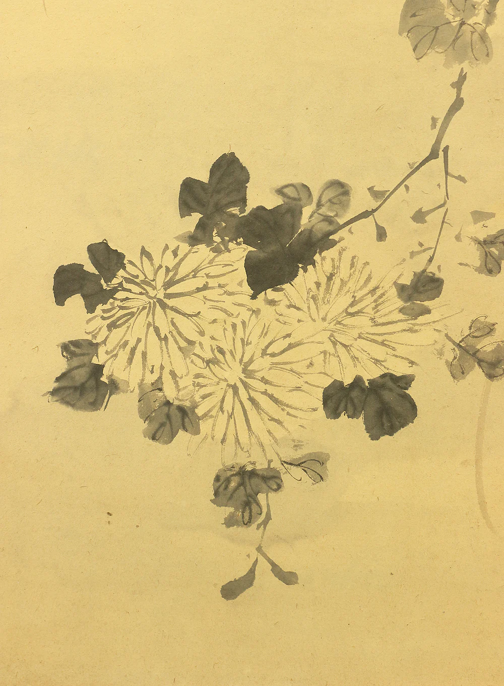 竹菊 Chikugiku Japanese Byobu Room divider 6 panels Folding screens / Kacho Flower & Bird - Birds, Ume plum, Sakura cherry, Lotus, Egret Heron, Magnolia, Chrysanthemum, Moon, Crows & Dead Tree V710 - Image 34