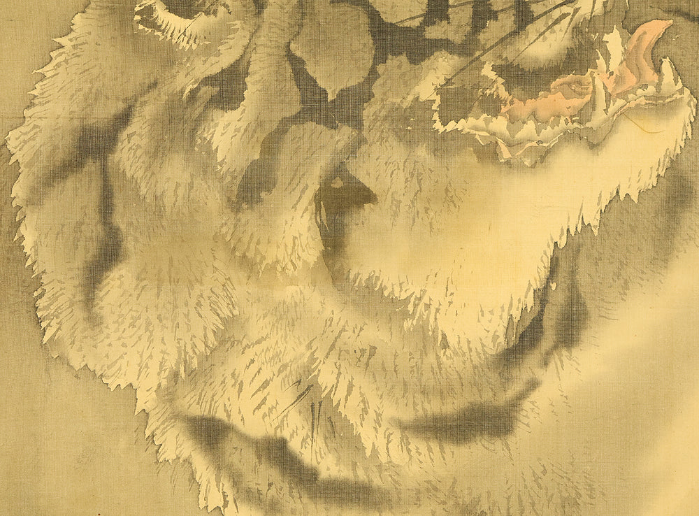 岸駒 Ganku (1749-1838) Japanese art a set of three kakejiku kakemono wall hanging scrolls / Jurojin (God of longevity), Dragon, and Tiger with Box RD815 - Image 33