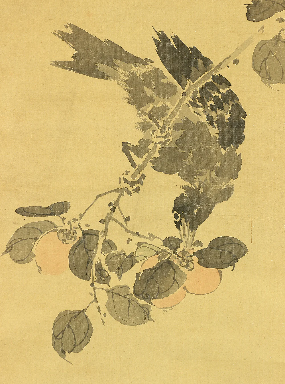 岸良 Ganryo Japanese antique art kakejiku kakemono wall hanging scroll / Crow & Persimmon with Box A177