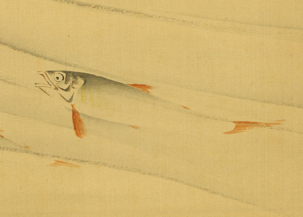 武部白鳳 Takebe Hakuho (1871-1927) Japanese art kakejiku kakemono wall hanging scroll / Sweetfish Swimming under Fowers RE848 - Image 10