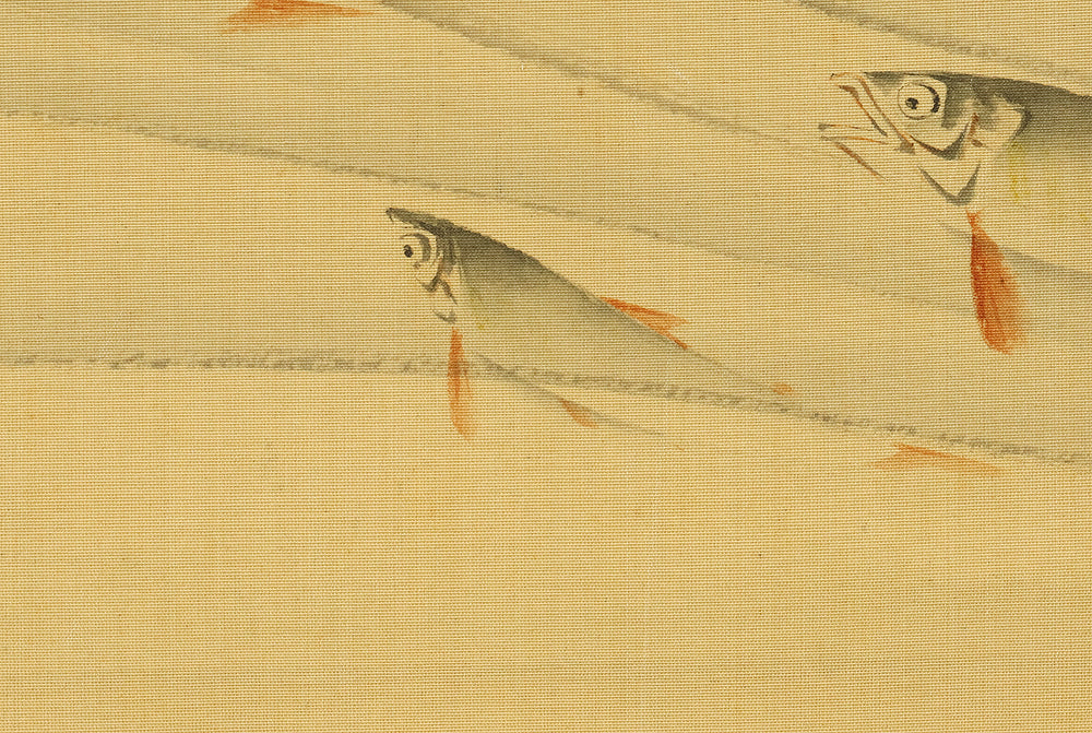 武部白鳳 Takebe Hakuho (1871-1927) Japanese art kakejiku kakemono wall hanging scroll / Sweetfish Swimming under Fowers RE848 - Image 11