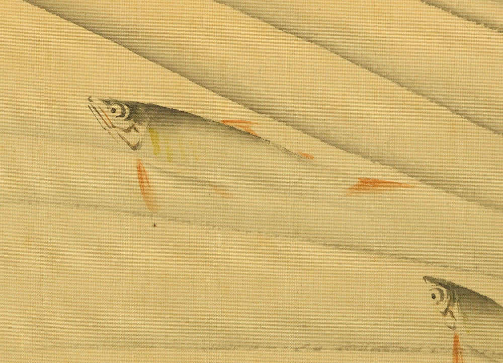 武部白鳳 Takebe Hakuho (1871-1927) Japanese art kakejiku kakemono wall hanging scroll / Sweetfish Swimming under Fowers RE848 - Image 12