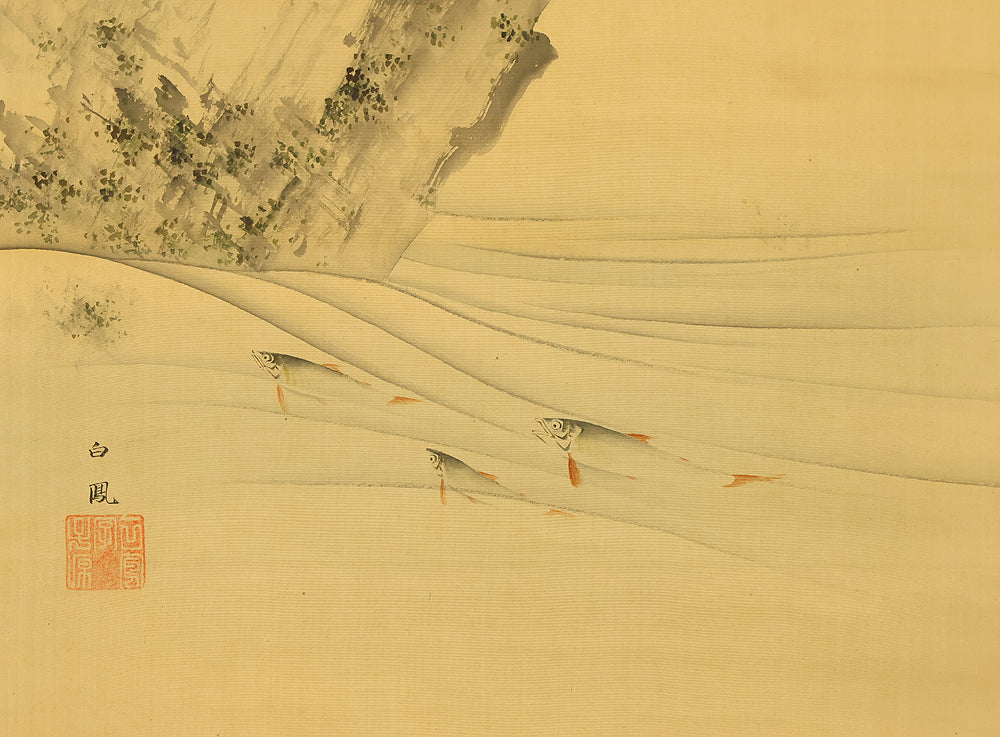 武部白鳳 Takebe Hakuho (1871-1927) Japanese art kakejiku kakemono wall hanging scroll / Sweetfish Swimming under Fowers RE848 - Image 9