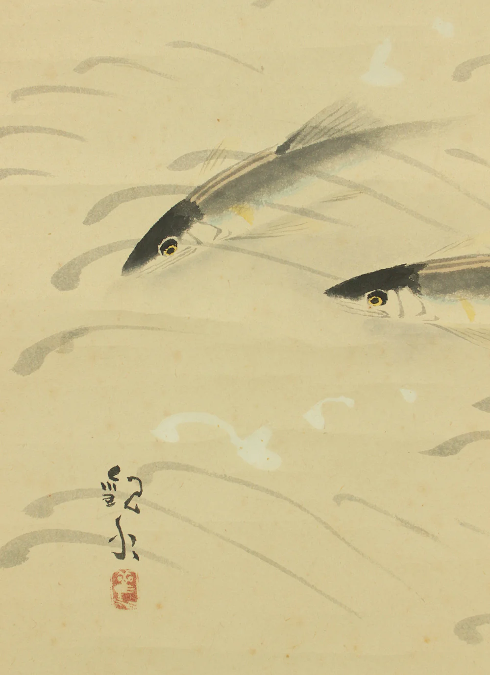歓水 Kansui Japanese art kakejiku kakemono wall hanging scroll / Three Sweetfish Swimming in Clear Water with Box RD438 - Image 13