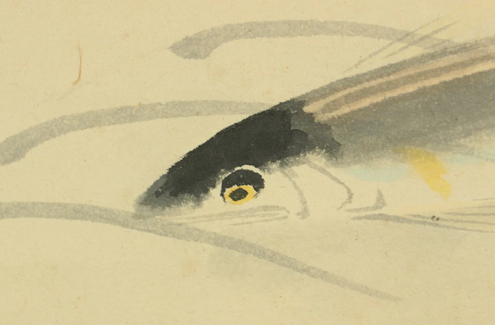 歓水 Kansui Japanese art kakejiku kakemono wall hanging scroll / Three Sweetfish Swimming in Clear Water with Box RD438 - Image 7