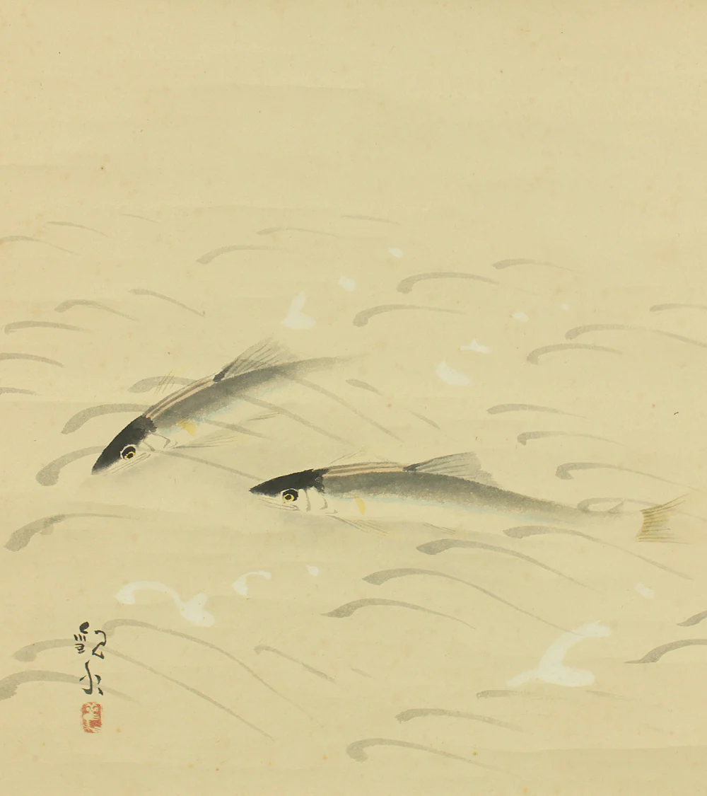 歓水 Kansui Japanese art kakejiku kakemono wall hanging scroll / Three Sweetfish Swimming in Clear Water with Box RD438 - Image 8