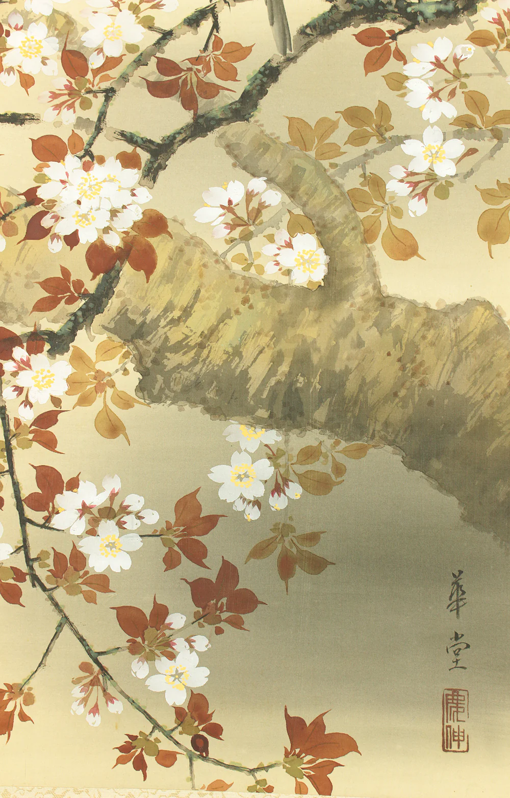 華堂 Kado Japanese art kakejiku kakemono wall hanging scroll / Cherry Blossoms and Little Bird with Box RD218 - Image 12