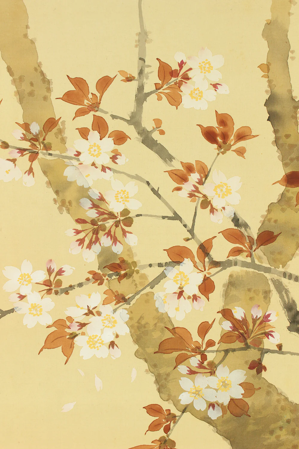 華堂 Kado Japanese art kakejiku kakemono wall hanging scroll / Cherry Blossoms and Little Bird with Box RD218 - Image 5