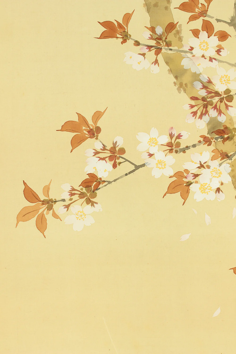 華堂 Kado Japanese art kakejiku kakemono wall hanging scroll / Cherry Blossoms and Little Bird with Box RD218 - Image 6