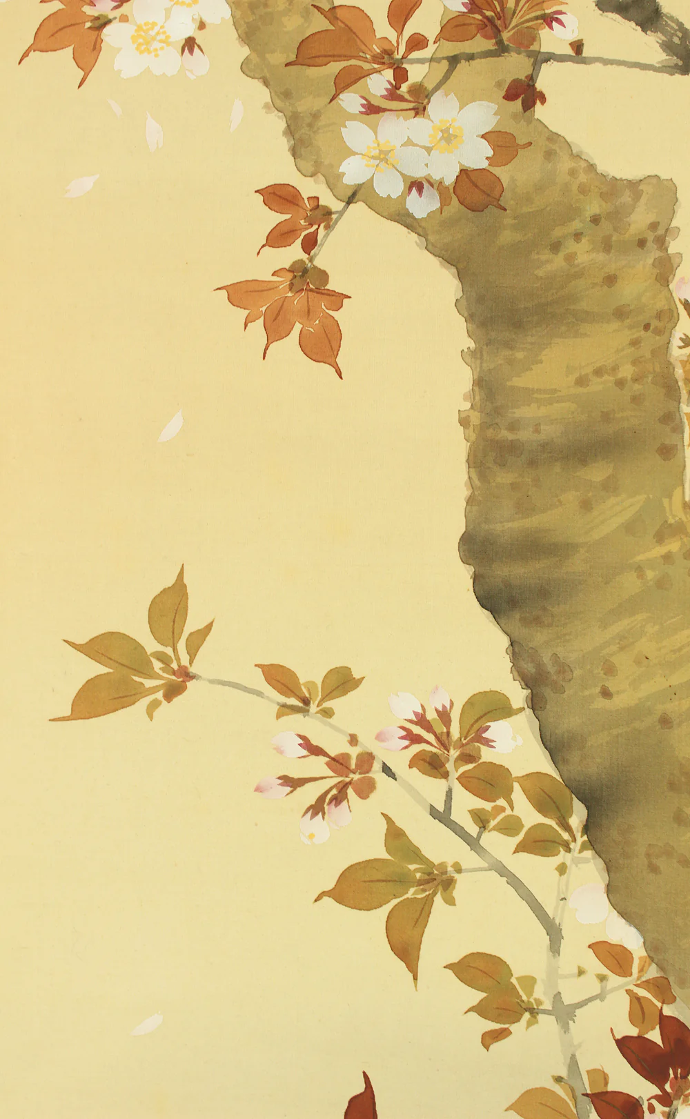華堂 Kado Japanese art kakejiku kakemono wall hanging scroll / Cherry Blossoms and Little Bird with Box RD218 - Image 7
