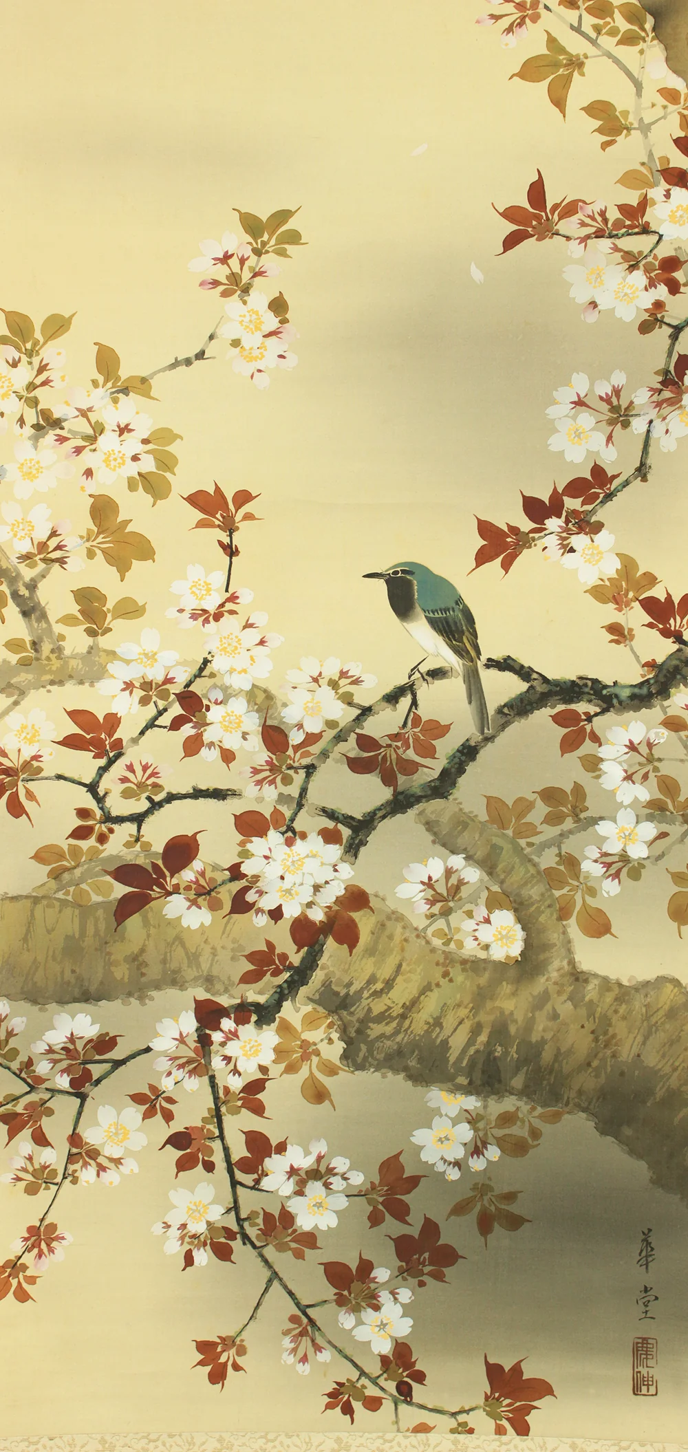 華堂 Kado Japanese art kakejiku kakemono wall hanging scroll / Cherry Blossoms and Little Bird with Box RD218 - Image 8