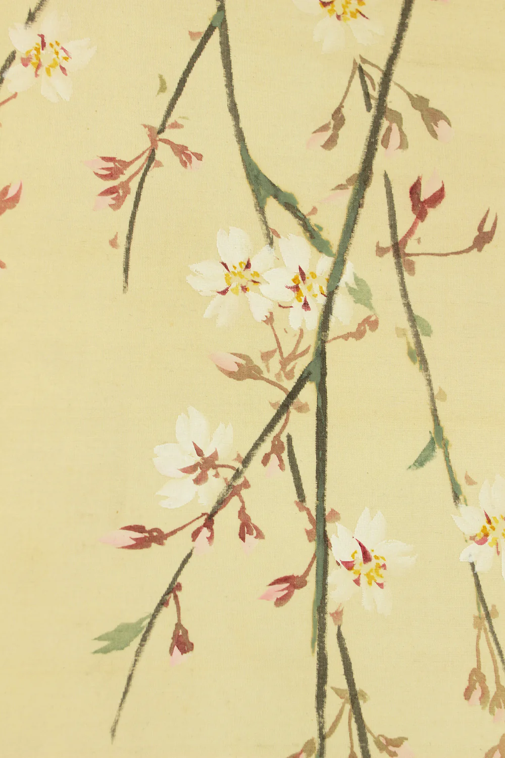 花耕 Kako Japanese art kakejiku kakemono wall hanging scroll / Weeping Cherry Tree and Little Bird with Original Box (Tomobako) RD554 - Image 11