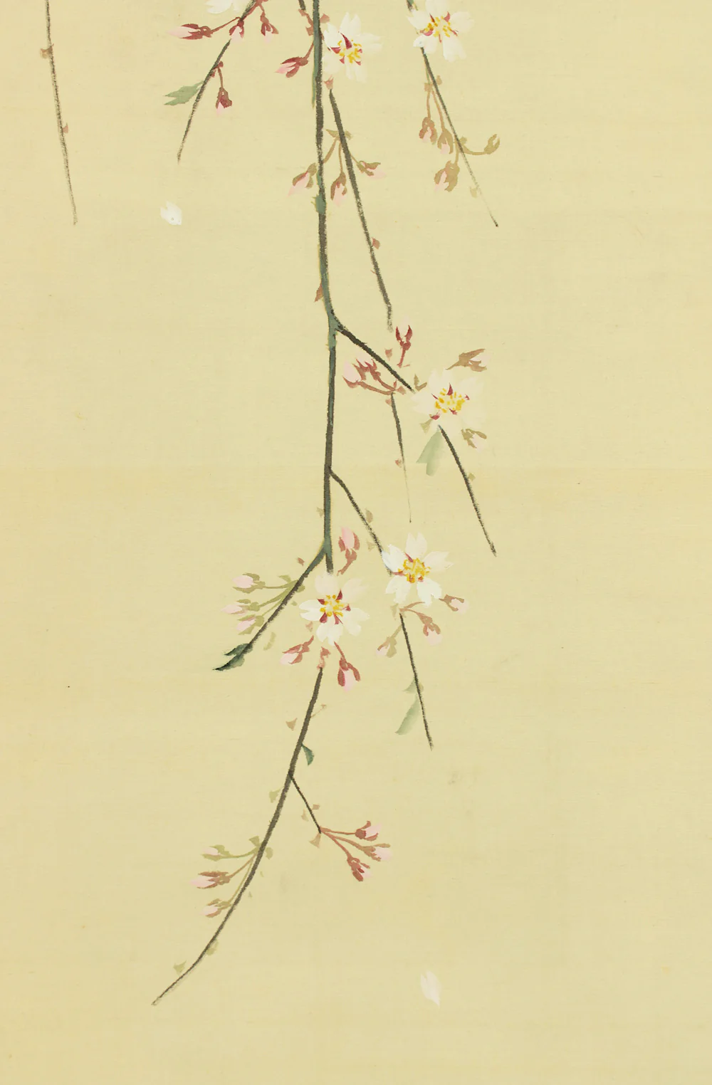 花耕 Kako Japanese art kakejiku kakemono wall hanging scroll / Weeping Cherry Tree and Little Bird with Original Box (Tomobako) RD554 - Image 12