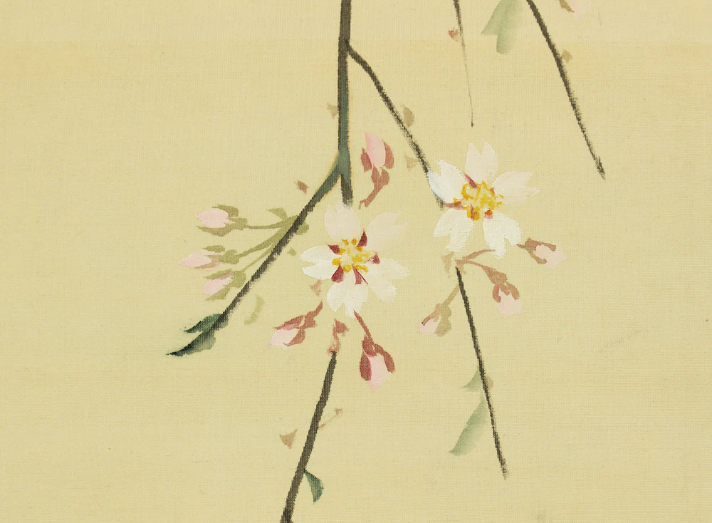 花耕 Kako Japanese art kakejiku kakemono wall hanging scroll / Weeping Cherry Tree and Little Bird with Original Box (Tomobako) RD554 - Image 13