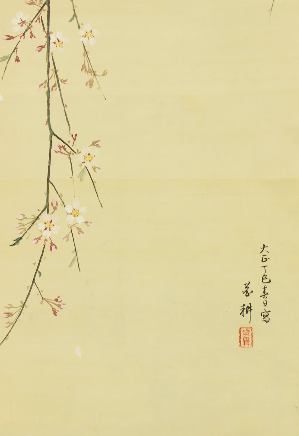 花耕 Kako Japanese art kakejiku kakemono wall hanging scroll / Weeping Cherry Tree and Little Bird with Original Box (Tomobako) RD554 - Image 14