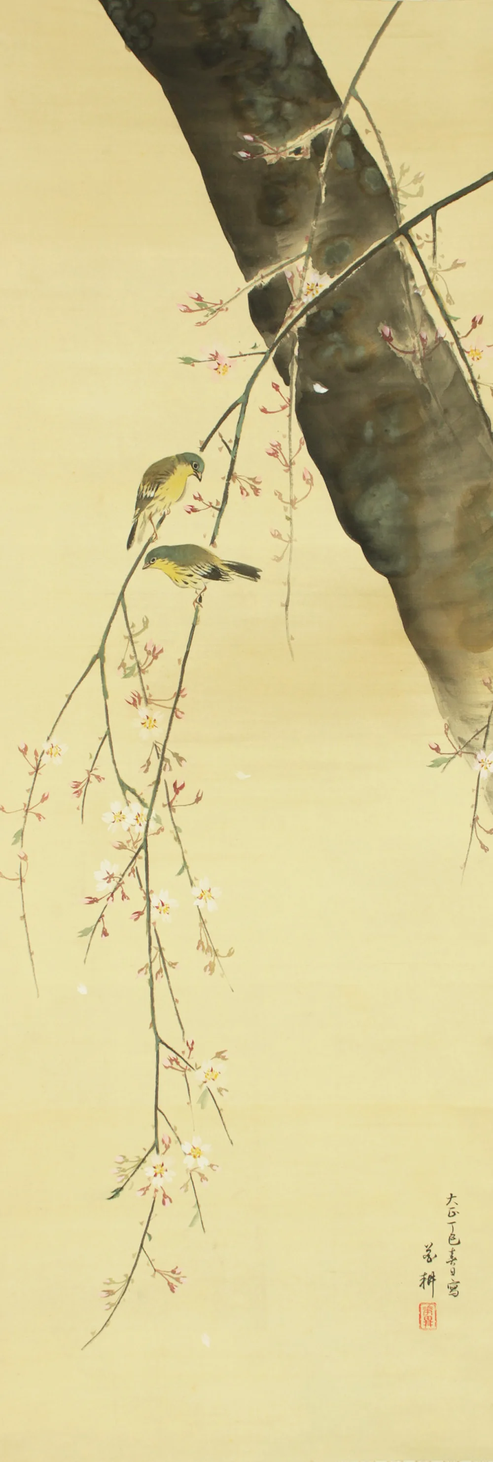 花耕 Kako Japanese art kakejiku kakemono wall hanging scroll / Weeping Cherry Tree and Little Bird with Original Box (Tomobako) RD554 - Image 4