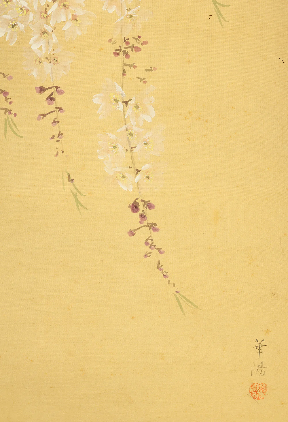 華陽 Kayo Japanese art kakejiku kakemono wall hanging scroll / Weeping Cherry Blossoms and Moon with Original Box (Tomobako) RE586 - Image 10