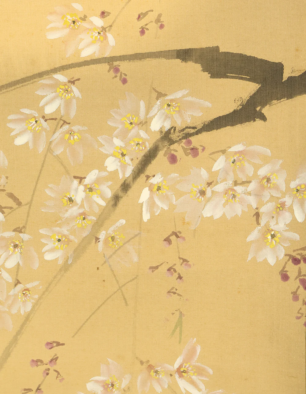 華陽 Kayo Japanese art kakejiku kakemono wall hanging scroll / Weeping Cherry Blossoms and Moon with Original Box (Tomobako) RE586 - Image 8