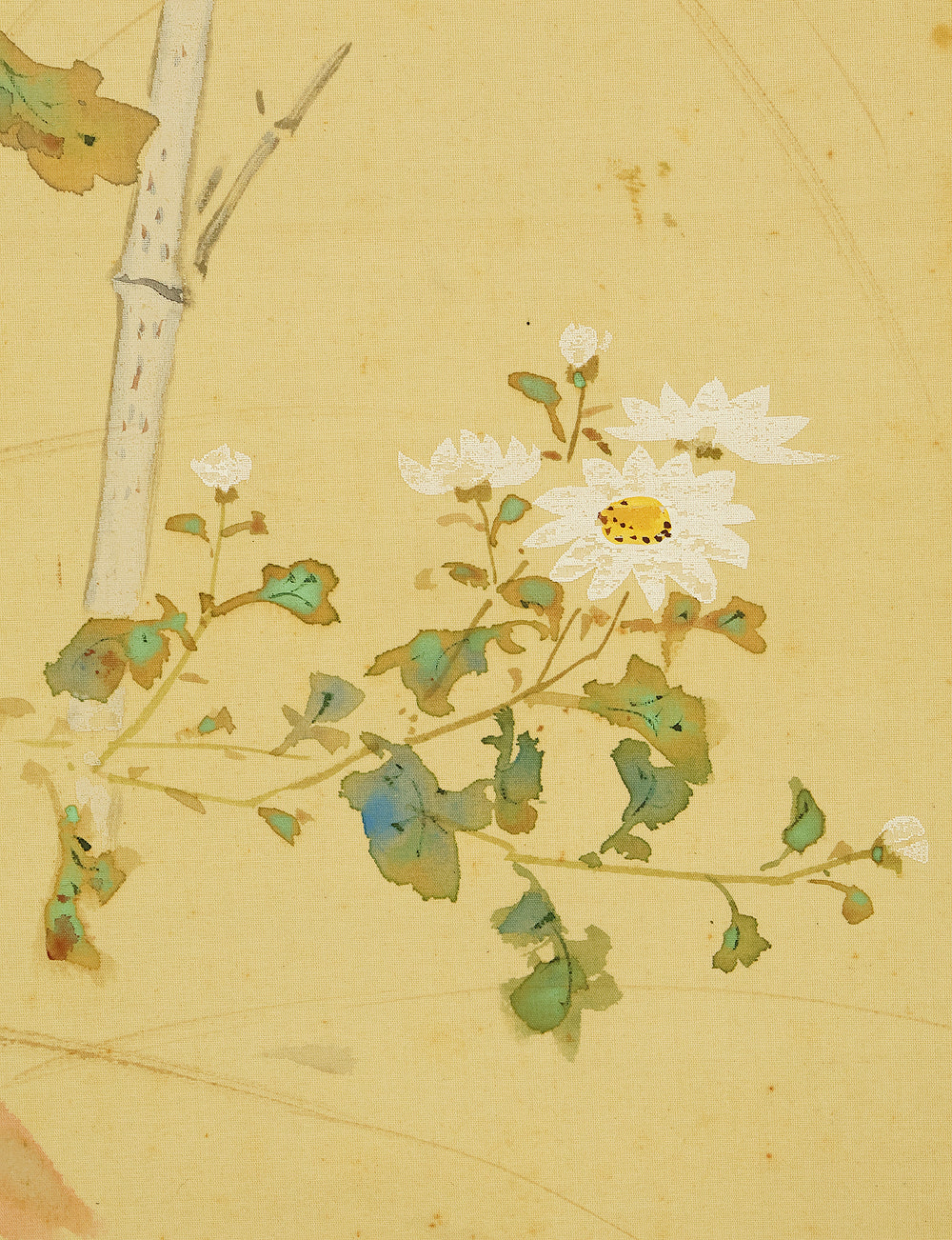 中島啓朝 Nakashima Keicho (1898-1983) 佳僊 Keisen Japanese art kakejiku kakemono wall hanging scroll / Collaboration work - Chrysanthemum, Cock's Comb, and Grasshopper with Original Box (Tomobako) RD881 - Image 13