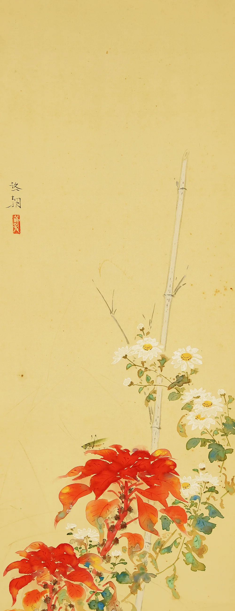 中島啓朝 Nakashima Keicho (1898-1983) 佳僊 Keisen Japanese art kakejiku kakemono wall hanging scroll / Collaboration work - Chrysanthemum, Cock's Comb, and Grasshopper with Original Box (Tomobako) RD881 - Image 4