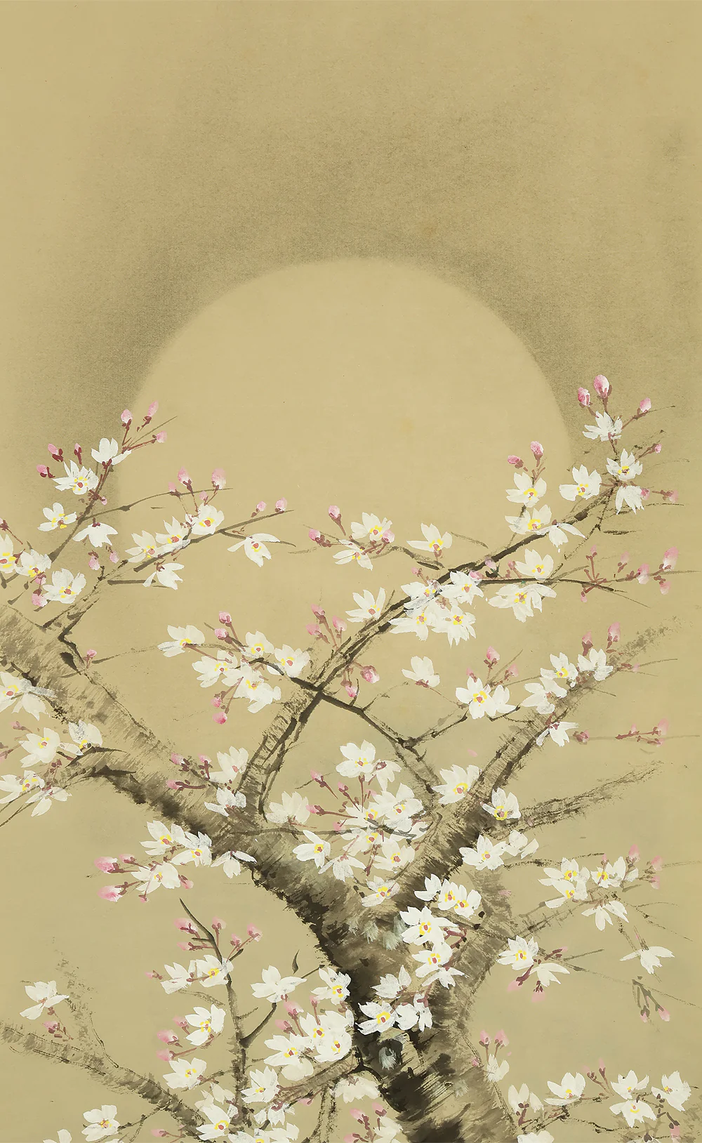 硯水 Kensui Japanese art kakejiku kakemono wall hanging scroll / Hazy Moon and Cherry Blossoms with Original Box (Tomobako) RE152 - Image 5