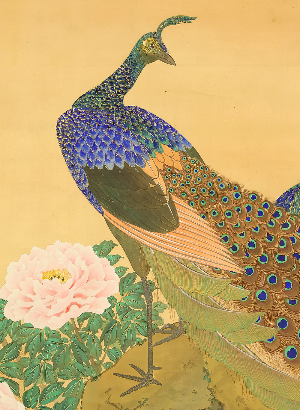 虹斎 Kosai Japanese art Large 150cm / 59.1" Width kakejiku kakemono wall hanging scroll / Two Peafowls and Peony RD862 - Image 6
