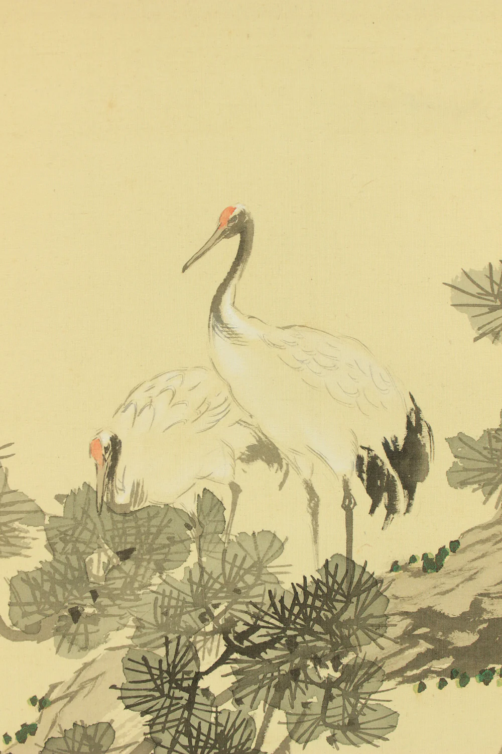 頼星 Raisei Japanese art kakejiku kakemono wall hanging scroll / Takasago Longeviti Painting - Old couples, Rising Sun, Crane, Turtle, Pine tree with Original Box (Tomobako) RD298 - Image 7