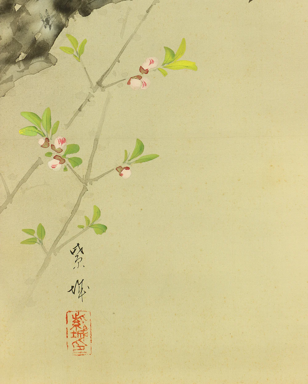 紫城 Shijo Japanese art kakejiku kakemono wall hanging scroll / Camellia and Little Bird with Box RA728 - Image 11
