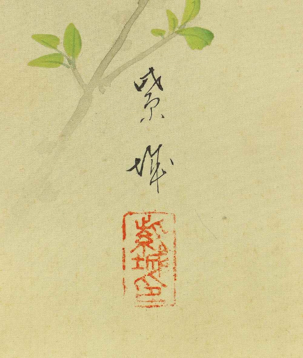紫城 Shijo Japanese art kakejiku kakemono wall hanging scroll / Camellia and Little Bird with Box RA728 - Image 12