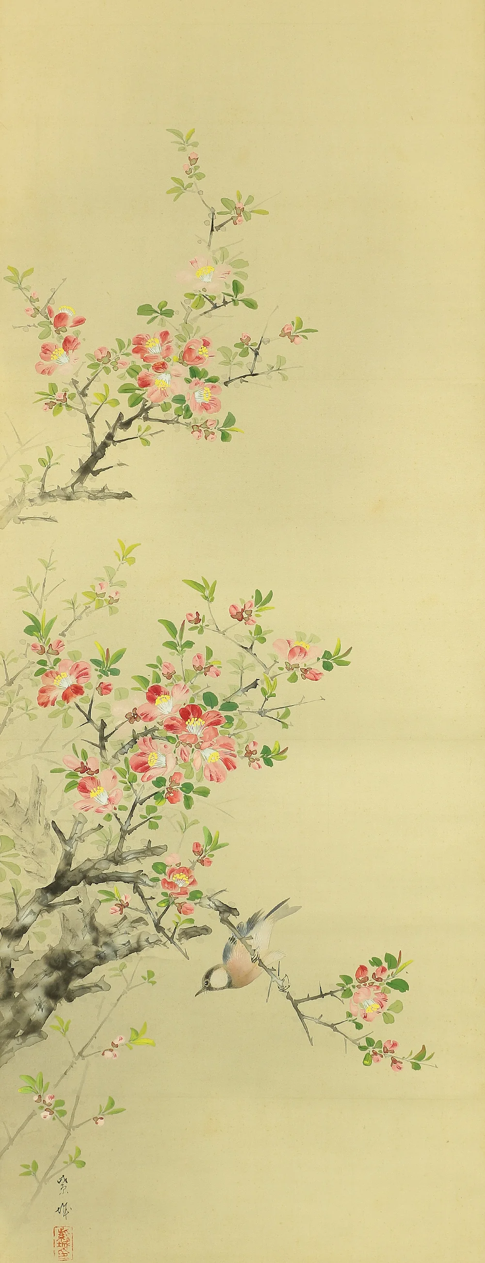 紫城 Shijo Japanese art kakejiku kakemono wall hanging scroll / Camellia and Little Bird with Box RA728 - Image 5