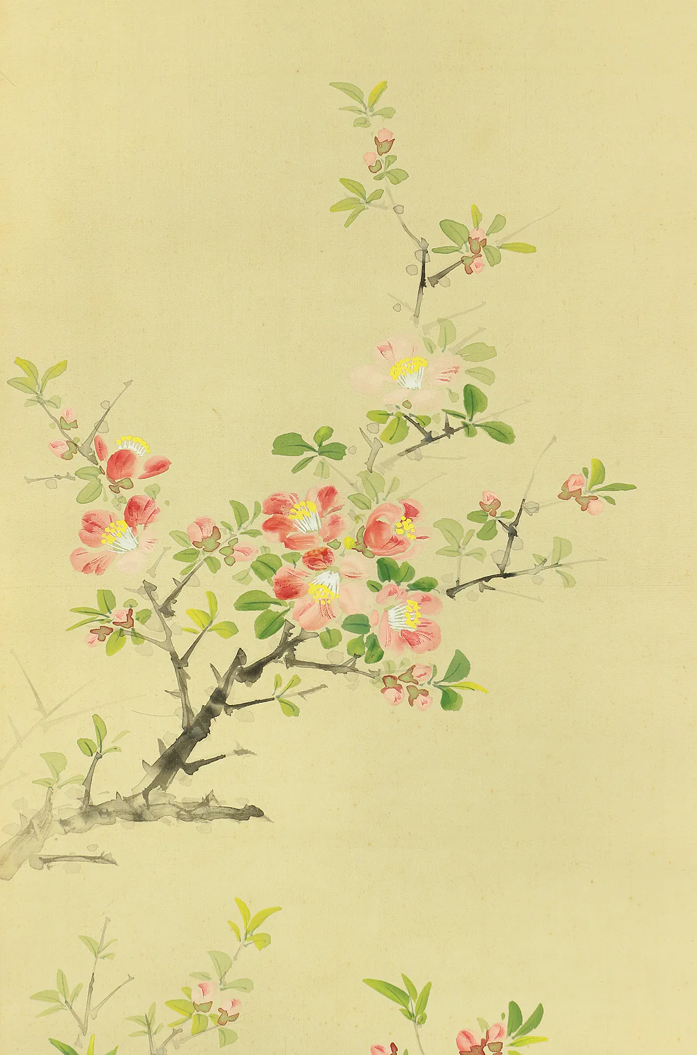 紫城 Shijo Japanese art kakejiku kakemono wall hanging scroll / Camellia and Little Bird with Box RA728 - Image 6